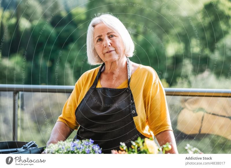 Porträt einer älteren Frau in ihrem Garten Blume Pflanze Blütezeit geblümt Arbeit Lächeln Gärtner Pflege frisch Blumenhändler Senior heiter kultivieren Beruf