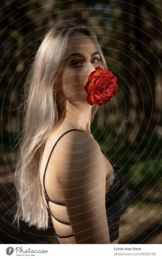 An einem sonnigen Tag wie diesem posiert ein wunderschönes blondes Mädchen makellos. Ihr schönes Gesicht wird von einer roten Rose begleitet. Auch die Sonnenstrahlen passen perfekt zu ihr.