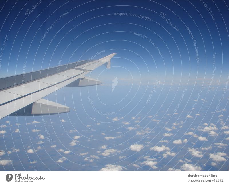 Am anderen Ende der Welt Wolken Stratokumulus Flugzeug Altokumulus floccus Fernweh über den Wolken Ferien & Urlaub & Reisen Flugzeugfenster Abdeckung Himmel