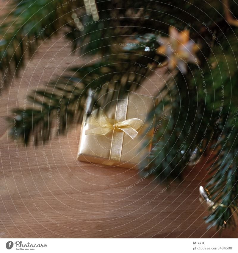Geschenk Reichtum Feste & Feiern Weihnachten & Advent glänzend gelb gold Stimmung schenken Weihnachtsgeschenk Weihnachtsbaum Bescherung Tannenzweig Farbfoto