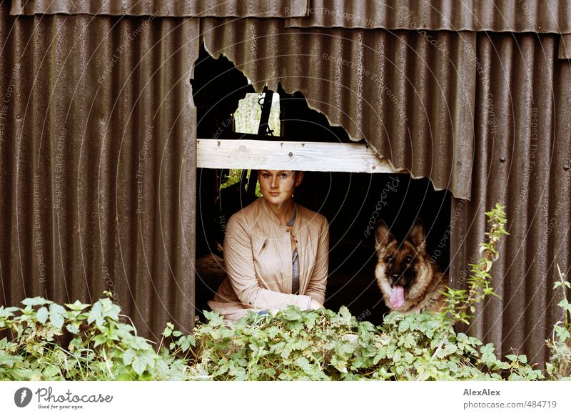 Guck mal, ein Versteck! - junge Frau mit Schäferhund schauen aus einem Loch im Schuppen heraus Freizeit & Hobby Spielen Jagd Junge Frau Jugendliche 18-30 Jahre