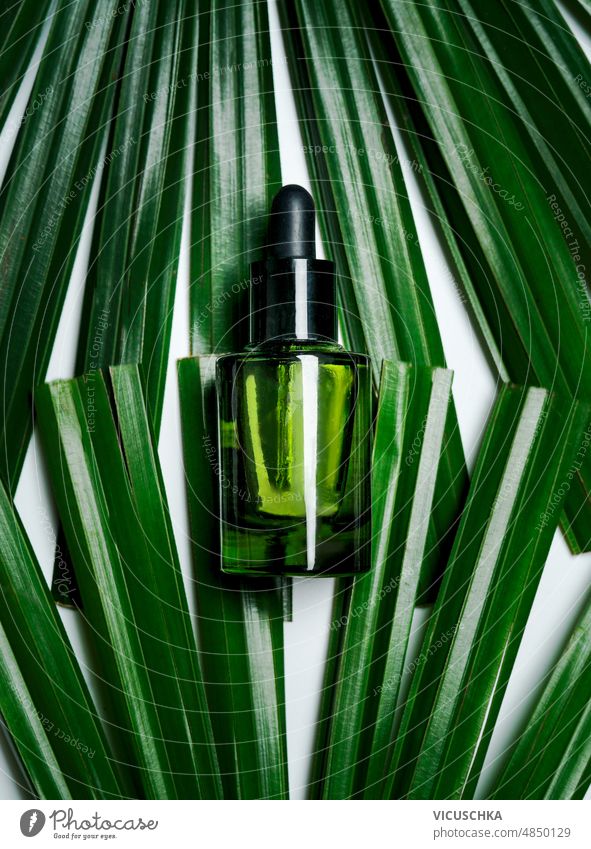 Grüne Glaspipettenflasche auf Palmenblättern. Gesunde Hautpflege Schönheit grün Kosmetik Pipettenflasche Gesundheit Schönheitsprodukt nahrhaft natürlich Serum