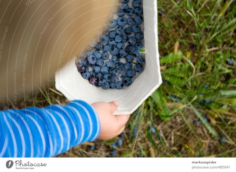 sammler & sammler Lebensmittel Frucht Blaubeeren schwarzbeeren Essen Picknick Bioprodukte Vegetarische Ernährung Diät Fasten Slowfood Fingerfood