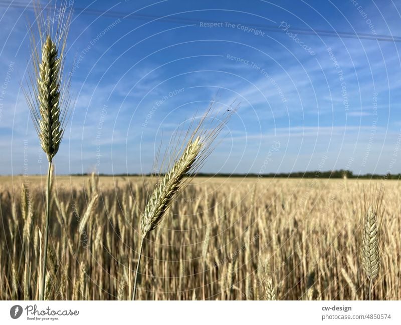 Natur Sommer Landschaft Himmel Wolken