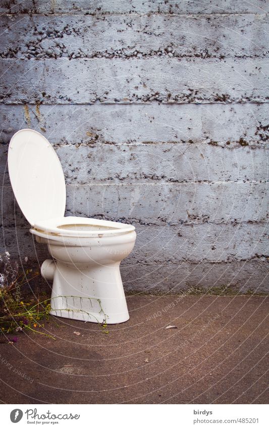 Ausgebautes WC mit aufgeklapptem Deckel vor einer Mauer Toilette Wand Stuhlgang außergewöhnlich Toilettensitz lustig Sperrmüll trashig bescheiden bizarr Idee