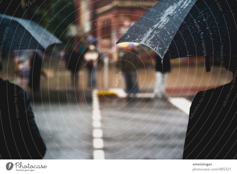 Regen, Schirme Mensch Wasser Wassertropfen Herbst Wetter schlechtes Wetter Hamburg Stadt Stadtzentrum Straßenverkehr Fußgänger Fußgängerübergang Regenschirm