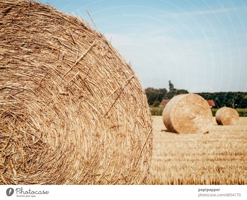 Strohballen bei der Ernte Strohballenrollen ernten Erntezeit Heu Heuballen Feld Landwirtschaft Sommer Natur Himmel Landschaft gelb Außenaufnahme blau Getreide