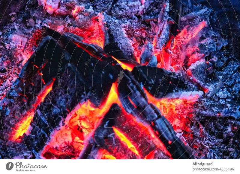 Feuerschale romantisch Sommer Garten Glut Brand Funken heiß Eifer Feuerstelle Holz glühen gefährlich Brennholz Flamme orange Wärme dunkel Licht Energie