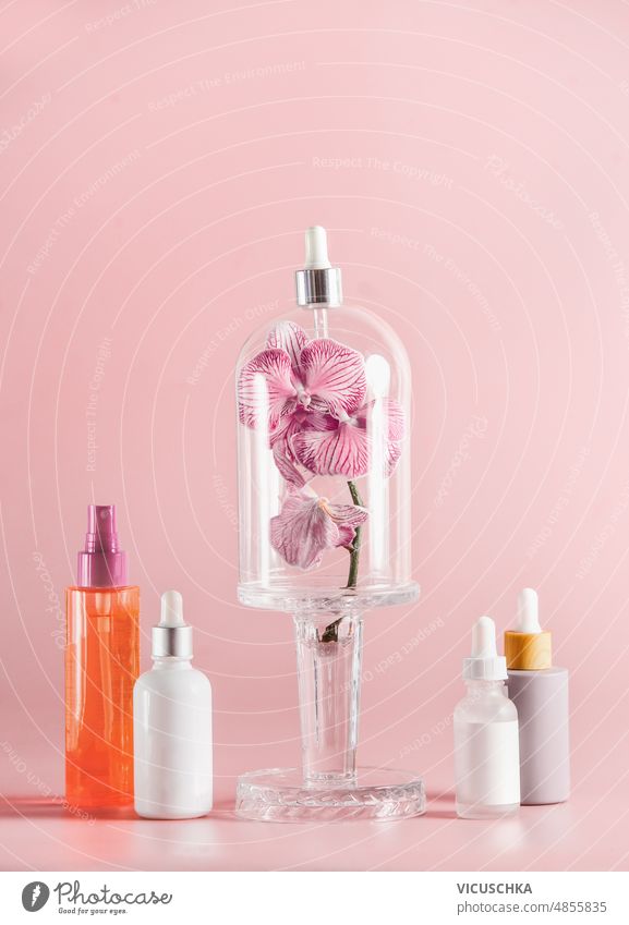Kosmetikflaschen mit Orchideenblüten in einer Glasglocke vor einem blassrosa Hintergrund. Gesichtsbehandlung Behandlung Konzept verschiedene Hautpflege