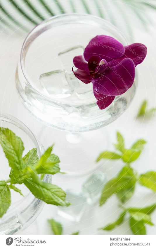 Transparenter Cocktail in einem mit lila Orchideenblüten und Minzblättern dekorierten Glas, Nahaufnahme Eis Champagne Coupé purpur Blumen Minze Blätter
