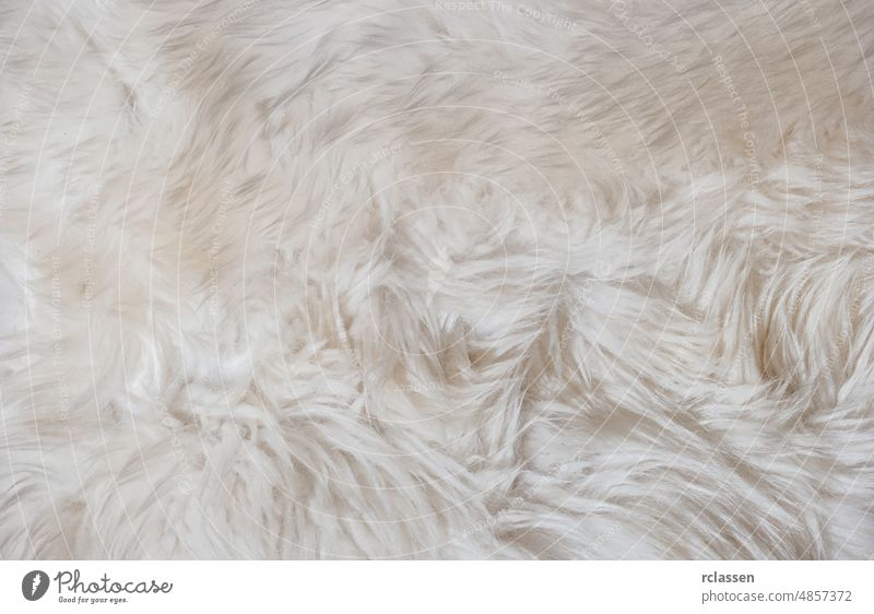 Textur des weißen zotteligen Fells Tier Schaf Mantel Haut Hintergrund beige Teppich Mode Sehne Faser-Eleganz fluffig haarig Lammfell Leder Makro Material zottig