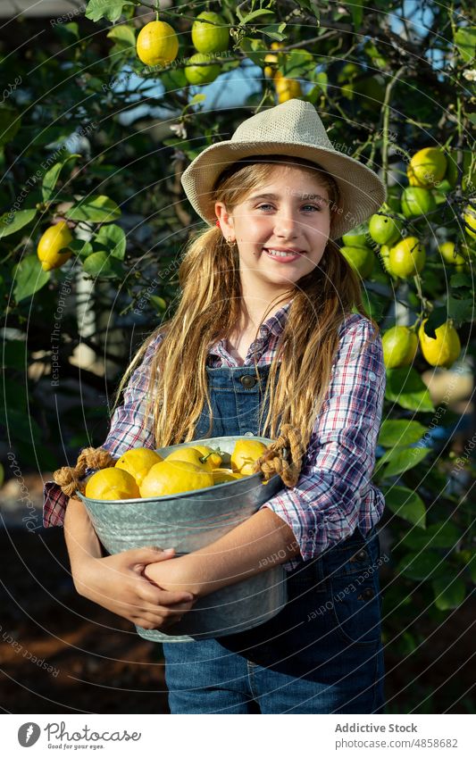 Mädchen mit Eimer voller Zitronen im Obstgarten Gärtner Lächeln Baum Landschaft Ernte Porträt Sommer Kind freundlich reif Frucht Ackerbau Landwirt führen heiter