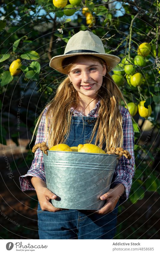 Mädchen mit Eimer voller Zitronen im Obstgarten Gärtner Lächeln Baum Landschaft Ernte Porträt Sommer Kind freundlich reif Frucht Ackerbau Landwirt führen heiter