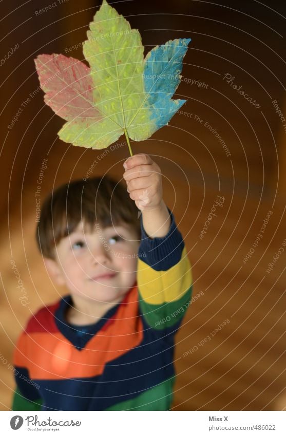 Herbst Herbst Hurra!!! Freizeit & Hobby Spielen Basteln Mensch Kind Kleinkind Junge Kindheit 1 1-3 Jahre 3-8 Jahre mehrfarbig Gefühle Stimmung Freude Glück