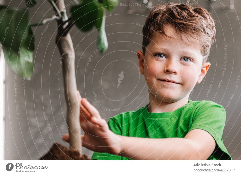 Inhalt Junge pflanzt Pflanze in Blumentopf Boden Transplantation Kind Porträt Helfer kultivieren Pflege Ficus wachsen eingetopft botanisch Flora geblümt