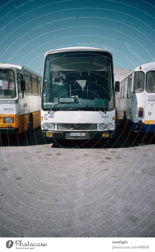 bus Busbahnhof Portugal Sommer Teer KFZ Himmel buses bus terminal Bahnhof Sonne Bodenbelag blau Schönes Wetter sky sun