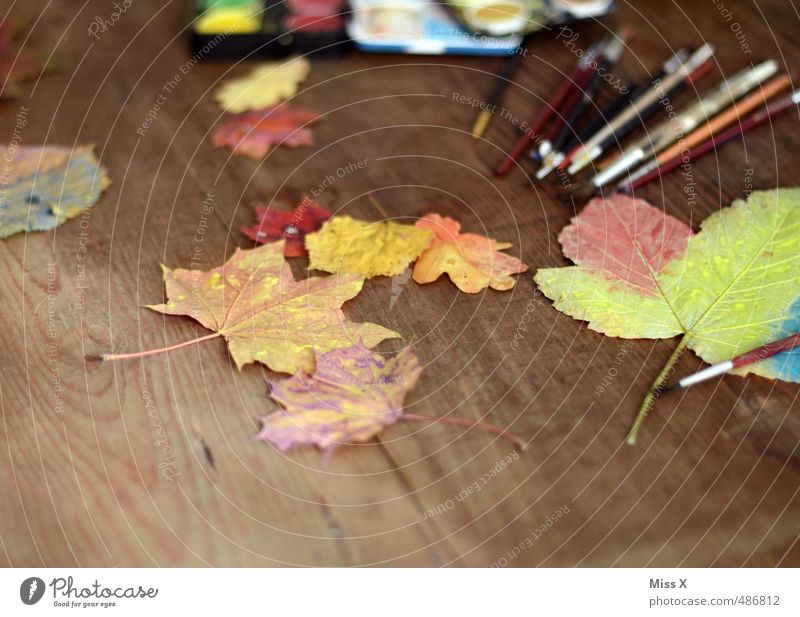 Herbstfärbung Freizeit & Hobby Spielen Basteln Kinderspiel Kunstwerk Blatt mehrfarbig Farbe Freude malen Ahornblatt Herbstlaub Bastelmaterial Pinsel