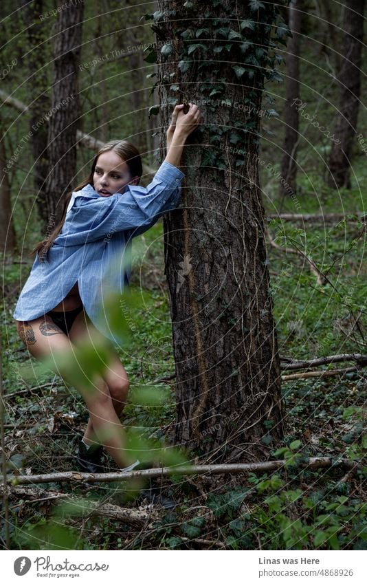 Ein wunderschönes brünettes Mädchen in einem blauen Hemd und sexy Dessous fühlt sich hinter einem Baum abenteuerlich. Diese wilden Wälder sind mit wilden Mädchen durchstreift. Die Natur zeigt sich in jeder Hinsicht von ihrer besten Seite.