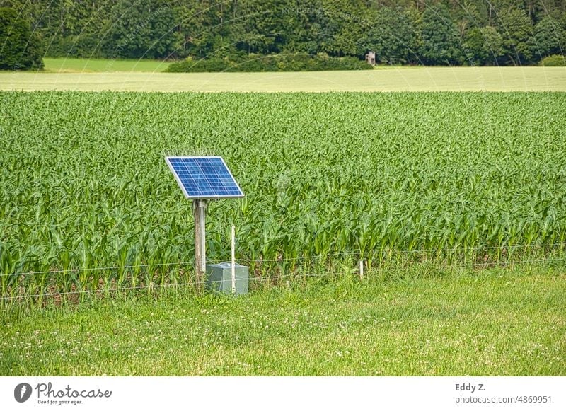 Elektrozaun der mit Solar betrieben wird. Der Weidezaun schützt Maisfeld vor Wildtieren wie Wildschweine, die den Mais auffressen. schutz Tiere Zaun Wiese