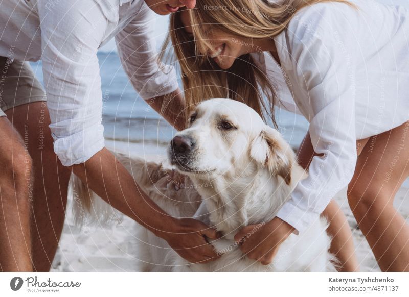 Der geliebte sandfarbene Labrador liegt in den Armen seiner glücklichen Besitzer Aktivität bezaubernd Tier Strand schön Pflege heiter Küste niedlich Hund