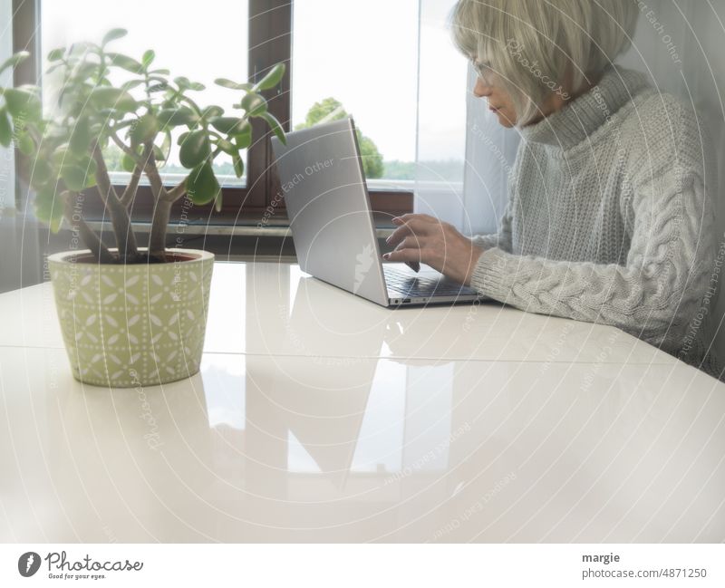Eine ältere Frau sitzt an ihrem Laptop, Notebook seniorin Pflanze Tisch Schreibtisch Fenster Bildung Isolation Lernen Person Aufgabe Bürokratie Innenaufnahme