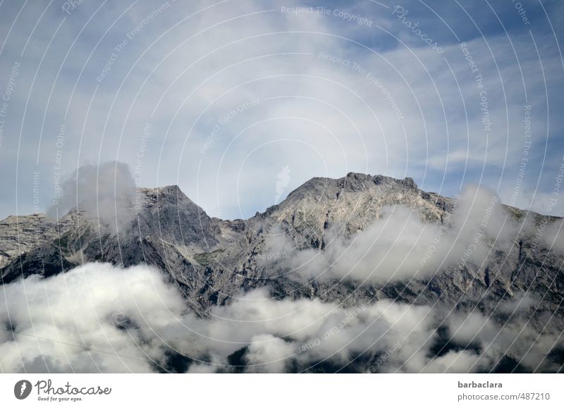 In Watte gepackt Umwelt Natur Landschaft Urelemente Himmel Wolken Alpen Berge u. Gebirge Gipfel hoch erleben Klima Ferne Farbfoto Außenaufnahme