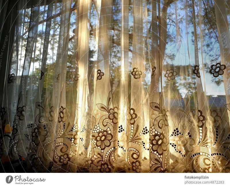 blumige, lichtdurchflutete Gardine am Fenster Vorhang Sichtschutz Dekoration & Verzierung Strukturen & Formen Textilien Häusliches Leben Faltenwurf Stoff