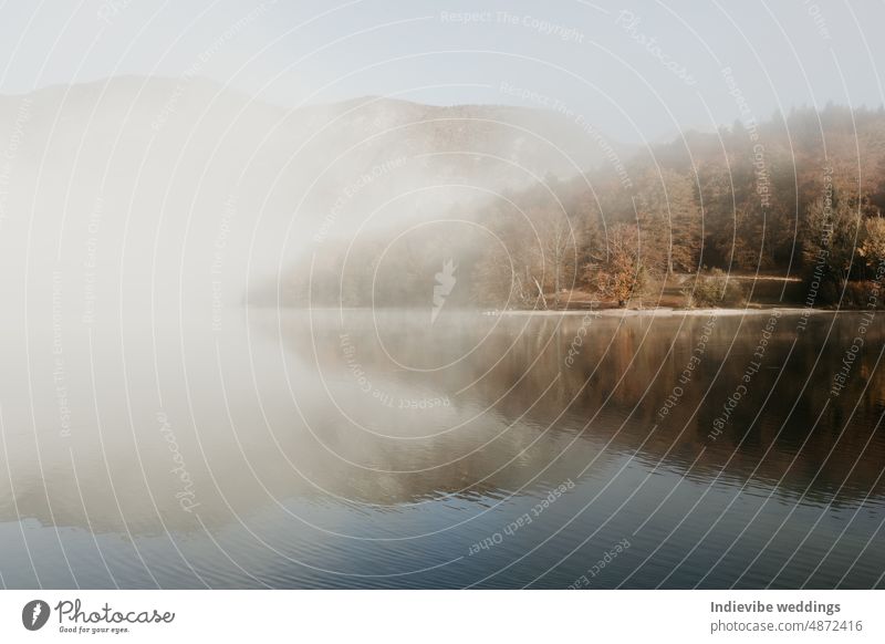 Ein schöner nebliger Morgen am Bohinjer See in Slowenien. Alpine Herbstlandschaft mit Nebel und ruhigem See. Niemand auf der Szene kurz nach Sonnenaufgang. Raum kopieren. Brauntöne kleine Wellen auf dem Wasser.