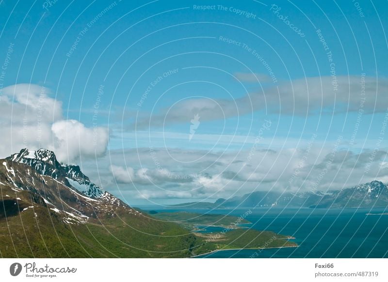 Lofoten Landschaft Pflanze Tier Urelemente Wasser Himmel Wolken Sommer Schönes Wetter Schnee Gras Sträucher Berge u. Gebirge Schneebedeckte Gipfel Küste Meer