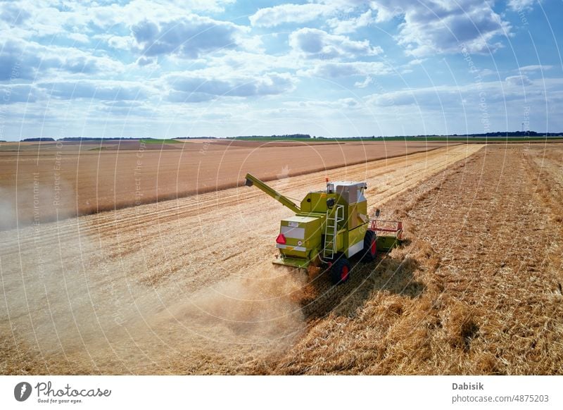 Mähdrescher im Einsatz auf dem Feld Ernte Ackerbau Weizen Bauernhof Ackerland Landschaft Traktor Korn Müsli Industrie Gerät Lebensmittel Maschine Arbeit