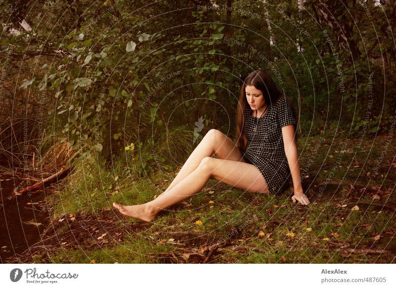 Jenny Jane Ausflug Junge Frau Jugendliche Beine 18-30 Jahre Erwachsene Natur Baum Gras Sträucher Moos Wald Seeufer Kleid Barfuß brünett langhaarig sitzen