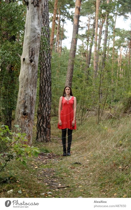 Rotkäppchen oder Rumpelstilzchen? Spielen Ausflug Junge Frau Jugendliche Körper 18-30 Jahre Erwachsene Natur Baum Sträucher Wald Wege & Pfade Fußweg Kleid