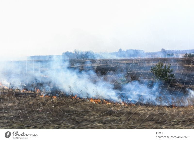 ein Feld wird in der Ukraine niedergebrannt verbrannt Feuer Brandwunde Flamme Ackerbau heiß Landschaft Frühling