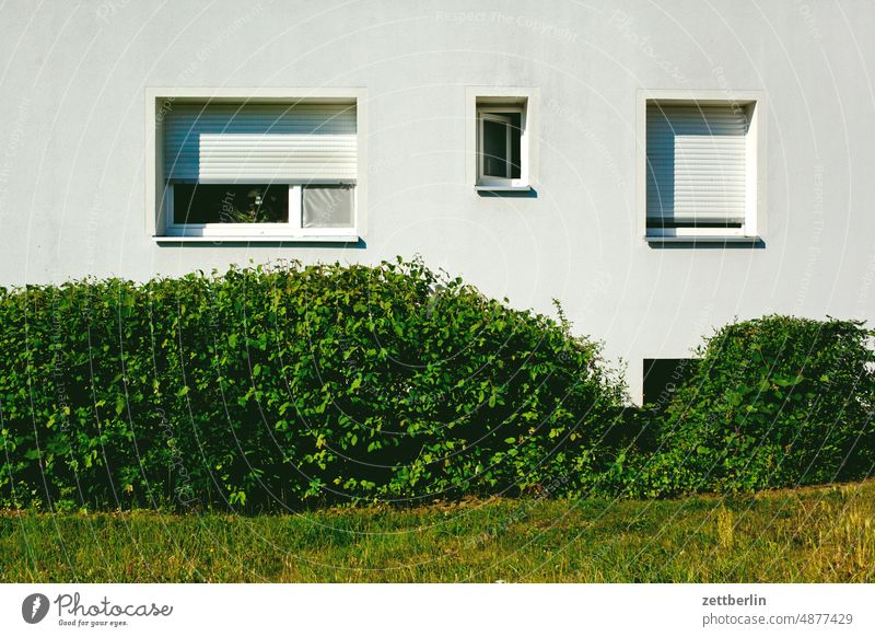 Fassade mit verschiedenen Fenstern berlin büro deutschland fassade fenster garten hauptstadt haus hecke leben menschenleer nachbarschaft stadtbezirk