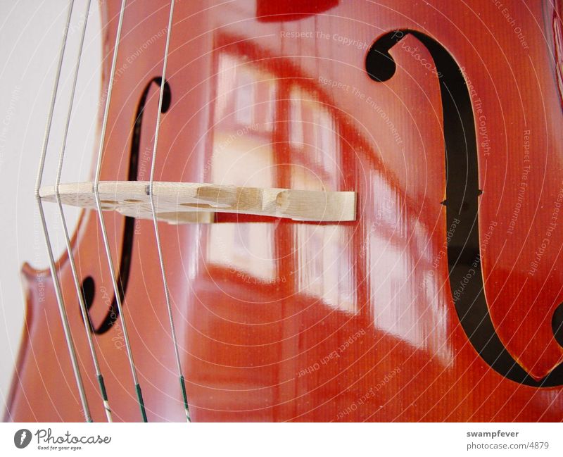 Steg Cello Holz Musikinstrument Saite Stahl Orchester Freizeit & Hobby glasur violoncello wooden orchestra streicher