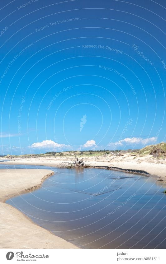 am meer. Meer Wasser blau Himmel Sand Ferien & Urlaub & Reisen Strand Sommer Küste Natur Horizont Schönes Wetter Menschenleer Ferne Landschaft ruhig Wellen