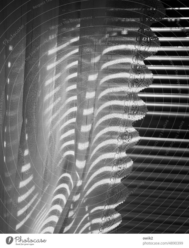 Verschlafenes Nest Fenster Jalousie Gardine Vorhang blickdicht Kunststoff Schwarzweißfoto Muster Innenaufnahme Morgen Strukturen & Formen Licht Schatten