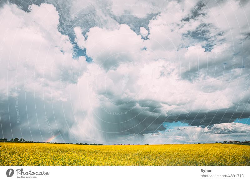 Dramatischer Regenhimmel mit Regenwolken am Horizont über ländlicher Landschaft Camola Colza Rapsfeld. Ackerbau schön Schönheit Biografie blau Cloud Wolken