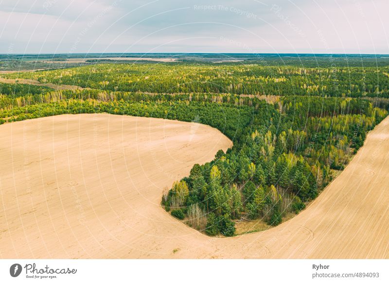 Aerial Top View of Agricultural Landscape With Growing Forest Trees On Border With Field. Schöne ländliche Landschaft in der Vogelperspektive. Spring Field With Empty Soil