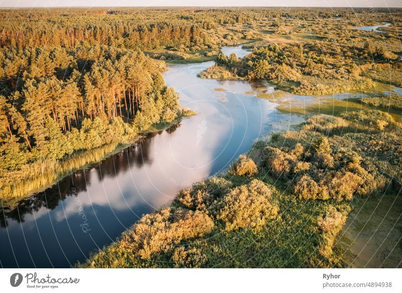 Aerial Elevated View of Green Forest Growth On River Coast Landscape In Sunny Summer Evening Antenne Luftaufnahme schön weißrussland Osteuropa Ökosystem