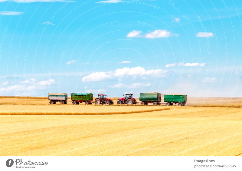 Erntehelfer. Traktoren mit Anhängern am Horizont auf einem Weizenfeld arbeitet. Weizen ernten. Ackerbau Landwirtschaft Feld ländlich Landschaft Sommer Bauernhof