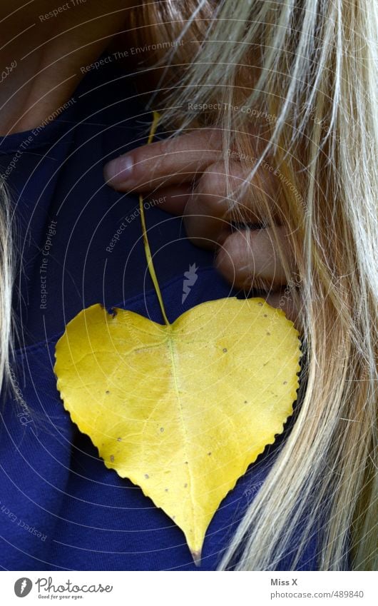 Herz aufs Herz Mensch feminin Frau Erwachsene Haare & Frisuren 1 Herbst Blatt blond gelb Gefühle Stimmung Liebe Verliebtheit Treue Romantik herzförmig
