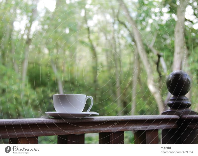 it´s teatime Getränk trinken Heißgetränk Kaffee Tee Gefühle Tasse Urwald Erholung Teetrinken Wald Natur Pause genießen Veranda Farbfoto Außenaufnahme Tag
