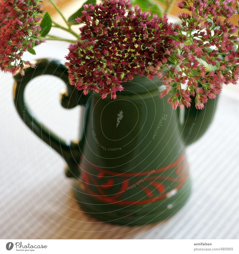 Blumen und Vase Häusliches Leben Wohnung Innenarchitektur Dekoration & Verzierung Tisch Raum Wohnzimmer Küche Pflanze Herbst Wildpflanze Blumenstrauß Blumenvase