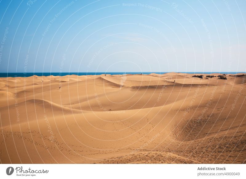 Wüstenlandschaft gegen Meer in der Natur Düne wüst Sand MEER trocken Küste Landschaft Ufer tropisch Blauer Himmel Meeresufer Sommer trocknen wolkenlos Gelände