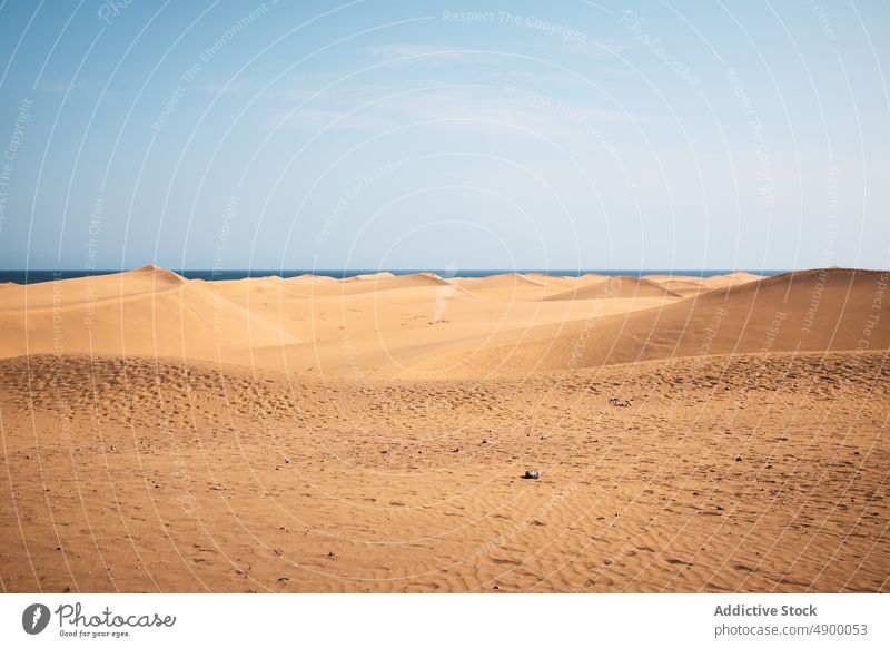 Wüstenlandschaft gegen Meer in der Natur Düne wüst Sand MEER trocken Küste Landschaft Ufer tropisch Blauer Himmel Meeresufer Sommer trocknen wolkenlos Gelände