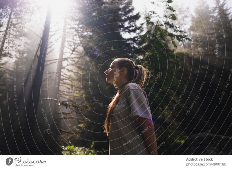 Frau Wanderer im Wald Wälder reisen Baum hoch Landschaft Tourist Reisender Wanderung Entdecker Abenteuer Waldgebiet Natur Kofferraum Spaziergang schlendern