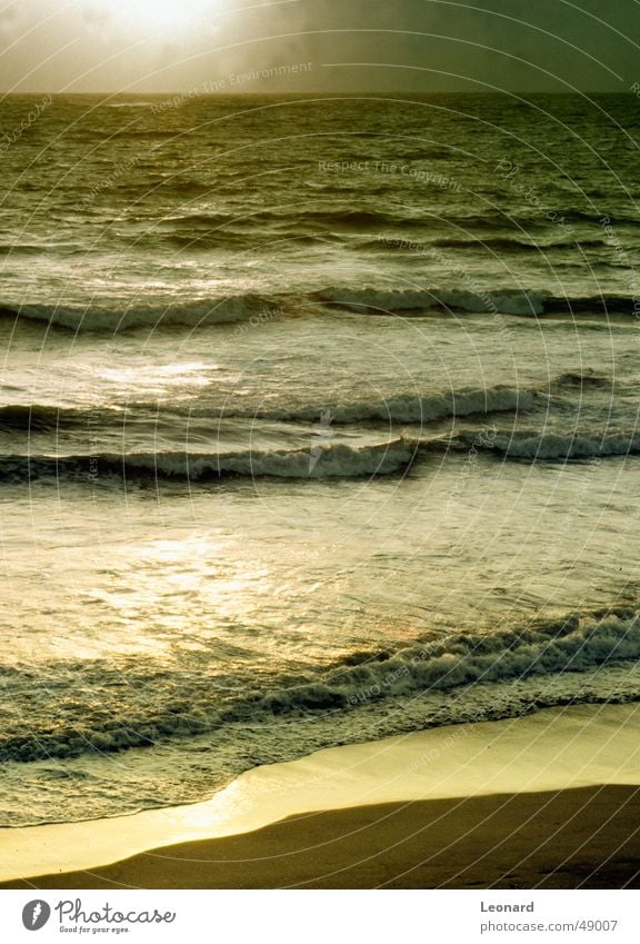 Golden See Meer Sonnenuntergang Glastechnik Strand Atlantik Wellen Portugal Wasser sea gold reflection wave