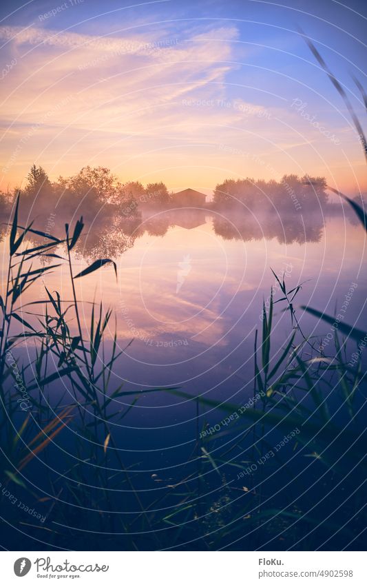 Farbenfrohe Morgendämmerung überm See farbenforh Sonnenaufgang Wasser Teich Natur Nebel Reflexion & Spiegelung Landschaft Außenaufnahme Himmel ruhig Stimmung