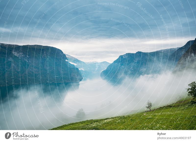 Sogn und Fjordane Fjord, Norwegen. Amazing Fjord Sogn Og Fjordane In Nebel Wolken. Sommer Scenic View of Famous Natural Attraction Landmark und beliebtes Reiseziel im Sommer. Nebliges Wetter